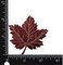 Burgundy Maple Leaf, Tree Leaves, Nature, Embroidered, Iron on Patch